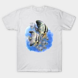 Batfish SCUBA T-Shirt